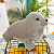 Brinquedo de Pelúcia - Foca - Imagem 2