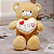 Pelúcia de Urso com Coração - Imagem 4