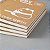 Caderno Espiral, Urso Estudioso - Allmini - Imagem 7