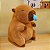 Brinquedo de Pelúcia Capivara Modelo Resfriada - Imagem 3