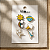 Conjunto de Broches de Metal Universo - Imagem 3