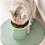 Comedouro PET Elevado com Orelhinhas para Gatos - Imagem 2