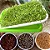 Bandeja Dupla para Germinação de Microverdes/Hidroponia - Imagem 2