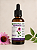 Extrato Fluído de Equinácea 30ml - Imagem 1