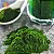 Chlorella em Pó – 150g - Imagem 2