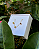 Conjunto Clean Bolinha banhado em ouro 18k - Imagem 1