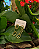 Brinco Elos Liso banhado em ouro 18k - Imagem 3