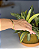 Bracelete Liso Minimalista Banho Ouro 18k - Imagem 5