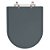 Tampa de Vaso Sanitário Poliéster Valentina Cinza Plus (Cinza Escuro) para vaso Hervy - Imagem 1