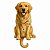 Relogio de Parede Cachorro Golden Retriever Pendulo em UV - Imagem 2