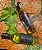 Vinho 2N Chardonnay - Imagem 1