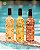 Kit Cooler (Frutas Vermelhas, Abacaxi e Pessego) - Imagem 1