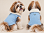 Capinha Pet Veludo Premium Gaby Moda Pet - Atacado - Imagem 1