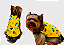 Capinha Ultrasoft Velcro Cachorro Sorvetinho Gaby Moda Pet - Venda Atacado - Imagem 1