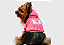 Blusão Moletom com Capuz Personagem Rosa Gaby Moda Pet - Atacado - Imagem 1