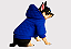 Jaqueta Pet Matelassê Azul Royal  Gaby Moda Pet - Atacado - Imagem 1
