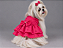 Vestido Pet Laise Pink Gaby Moda Pet - Venda Atacado - Imagem 1