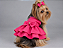 Vestido Pet Pink Gaby Moda Pet - Venda Atacado - Imagem 1