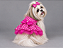 Vestido Pet Pink Poazinho Gaby Moda Pet - Venda Atacado - Imagem 1