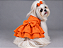 Vestido Pet Atacado Laise Laranja Gaby Moda Pet - Venda Atacado - Imagem 1