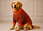 Roupa Pet Suéter Tricô Terracota Premium Pet no Atacado para Lojas e Revendedores - Imagem 1