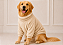 Roupa pet frio Fleece Premium Bege para Cães de Grande Porte no Atacado - Imagem 1