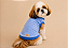 Roupa Pet Flanelada Macho Linha Básica | Direto da Fábrica | Atacado Gaby Feulo - Imagem 1