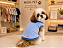 Roupa Pet Flanelada Macho Linha Básica | Direto da Fábrica | Atacado Gaby Feulo - Imagem 3