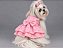 Vestido Pet Atacado Laise Rosa Gaby Moda Pet - Venda Atacado - Imagem 1