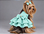 Vestido Pet Atacado Verde Tifany Gaby Moda Pet - Venda Atacado - Imagem 1