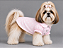 Camisa Alfaiataria para Cachorro Manga Princesa Poazinho Rosa com Botão de Pressão – Atacado - Imagem 1