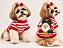 Camiseta Pet Natalina Listrada com Papai Noel | Sob Encomenda | Atacado Gaby Feulo Moda Pet Premium - Imagem 1
