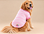T-Shirt Pet Petit Belle Rosa Linha Premium 50% Algodão | Estampas Primavera Verão | Atacado - Imagem 2