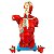 TORSO MUSCULAR 108CM, BISSEXUAL/ASSEXUADO,C/ORGAOS INTERNOS, EM 27 PARTES - Imagem 1