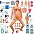 MANEQUIM AVANÇADO DE PARTURIENTE/NEONATAL,SIM.COM RCP E SUP.DE EMERGENCIA - Imagem 1