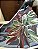 MARANTA TRICOLOR - Imagem 2