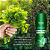 Sabonete íntimo menta 200ml - Imagem 1