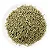 Alecrim Folha 50g – Chá Estimulante Natural para Memória, Cansaço e Digestão - Imagem 2