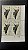 Quadra de Selos Estrangeiros - China - Tai Chi Chuan - ref.508 - Imagem 1