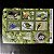 Bloco de Selos Comemorativos do Brasil - Aves Exuberantes Brasileiras - 2009 - Mint - ref.817 - Imagem 1