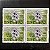 Quadra de Selos Comemorativos do Brasil - Flora do Mercosul - Aguape- 2001 - Mint - ref.2133 - Imagem 1