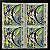 Quadra de Selos Comemorativos do Brasil - Divulgação da Piscicultura e da Aquariofilia - 1969 - Novo - ref.2387 - Imagem 1