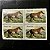 Quadra de Selos Comemorativos do Brasil - Cavalos de Raças Brasileiras - Mangalarga - 1985 - Mint - ref.2703 - Imagem 1