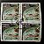 Quadra de Selos Comemorativos do Brasil - Dia do Selo- Brasiliana 79 - Borboleta Cithaerias Aurora - 1979 - com carimbo comemorativo - ref.2916 - Imagem 1