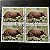 Quadra de Selos Comemorativos do Brasil - Preservação da Fauna Brasileira -Cachorro do Mato Vinagre - 1988 - com carimbo comemorativo - ref.2937 - Imagem 1