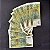 10 Cédulas do Brasil - 200 Cruzeiros - Republica I Centenario - FE - ref.2982 - Imagem 2