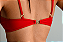BOJO CAROLZINHA - Imagem 2