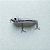 Isca Predador 9 cm SH-8092-12 (10g) - Imagem 1