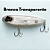 Isca Artificial Yara Mad Dog 75 - Superfície 7,5cm 8g - Imagem 3