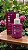 Sérum Facial Rosa Mosqueta 10 em 1 Love Max Love - Imagem 1